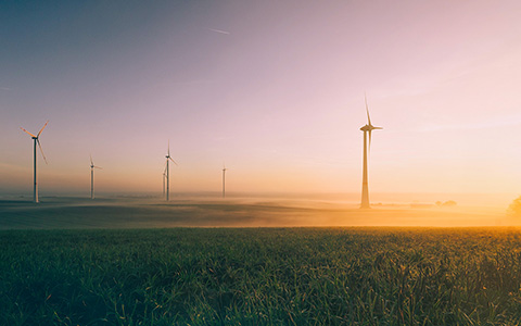 Climate Education