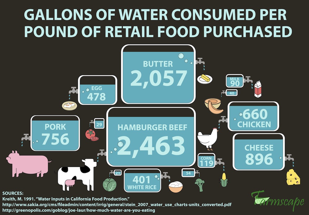Image credit: weneedwater.org water consumption