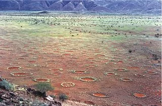 The Mystery Of Fairy Circles  thumbnail