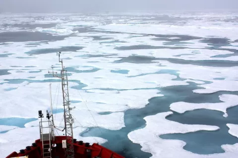 Algae Bloom Under Arctic Ice thumbnail