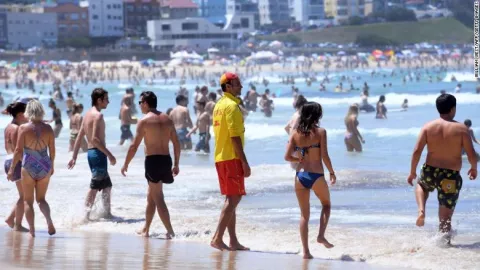 Bats Drop Dead In Australian Heat thumbnail