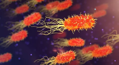 Bacteria Help Extract Rare Earth Metals! thumbnail