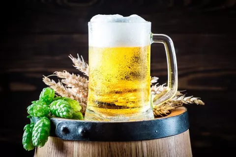 From Beer Waste To Vegan Leather!  thumbnail