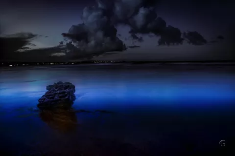 Chasing The Glowing Blue... thumbnail