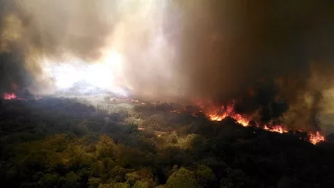 Paradise Lost In California thumbnail