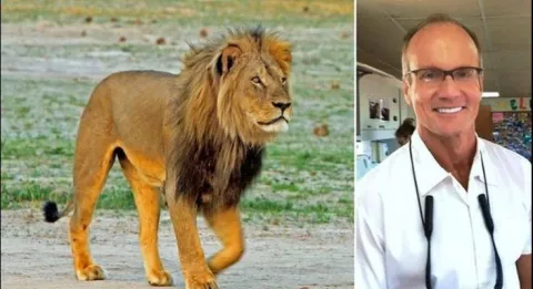 The Debate Over Trophy Hunting thumbnail