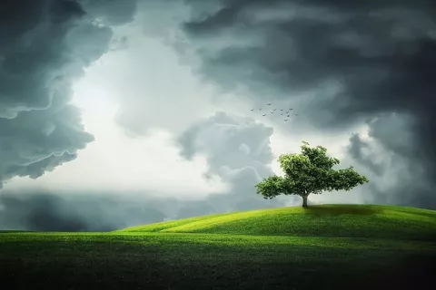 Microplastics In Clouds? thumbnail