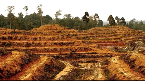 How Large Is The Human Footprint? thumbnail