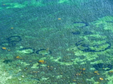 Mysterious Circles In The Ocean Floor thumbnail