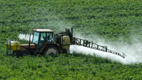 Roundup: Does it Cause Cancer? thumbnail