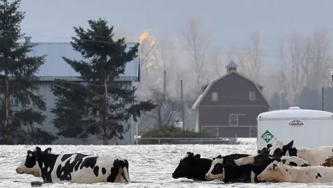 Floods Follow Wildfires In British Columbia thumbnail