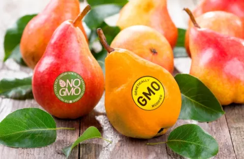 What Do These Food Labels Mean? thumbnail