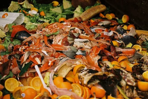 Apps, Labels Address Food Waste thumbnail