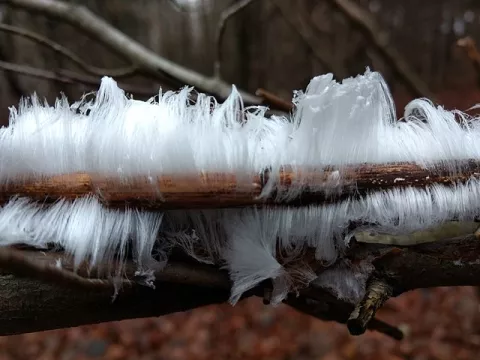 Have You Heard Of Hair Ice? thumbnail