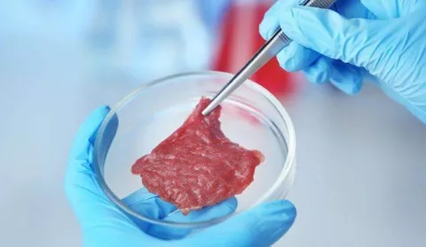 The Debate Over Lab-Grown Meat thumbnail