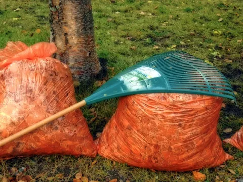 Stop Bagging Leaves! thumbnail