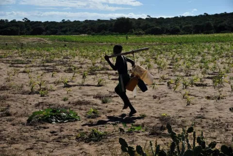 A Food Crisis In Madagascar thumbnail
