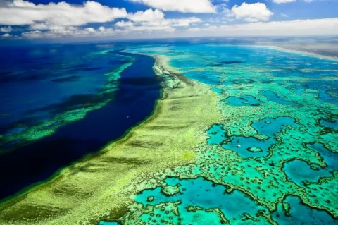 Australia Creates Biggest Marine Park thumbnail