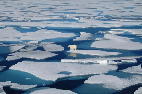 Why Is Arctic Sea Ice Disappearing? thumbnail