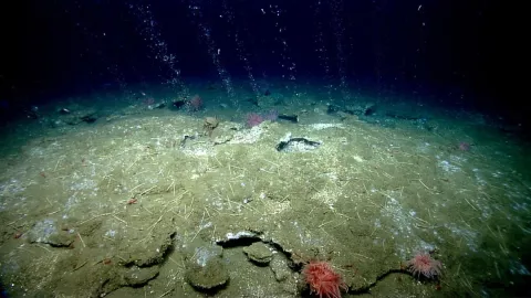 Those Methane Munching Microbes... thumbnail