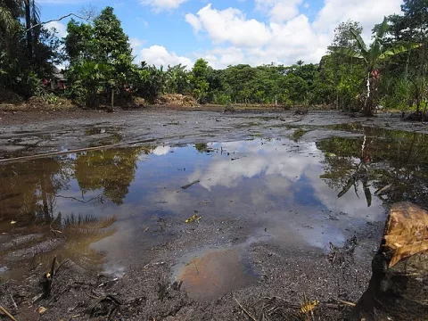 Island Nations Call For Ecocide thumbnail