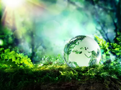Earth Day 2022: Invest In Our Planet! thumbnail
