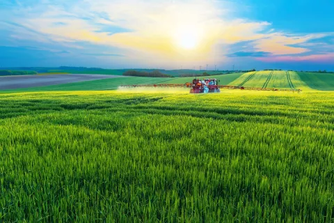 The Winner Of The World Food Prize Is... thumbnail