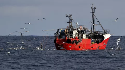 How Can We Prevent Overfishing? thumbnail