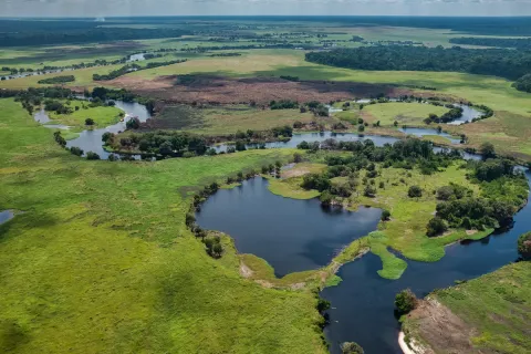 Why Are Peatlands Important? thumbnail