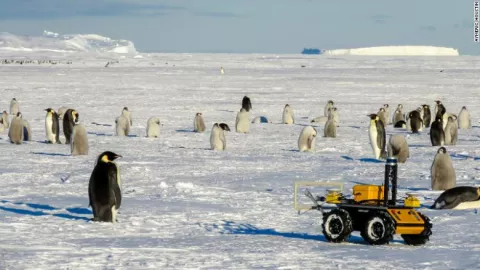 A Robot Among The Penguins thumbnail