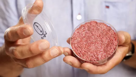 FDA aprueba segunda carne cultivada en laboratorio thumbnail