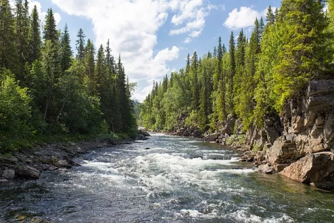 When A River Doesn't Run Free... thumbnail