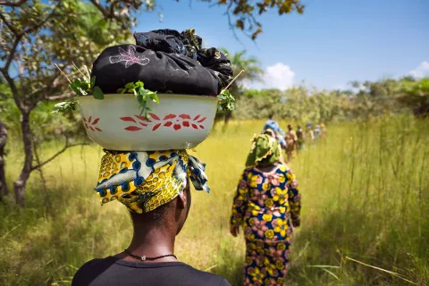Informe de la ONU: Empoderar a las mujeres rurales thumbnail