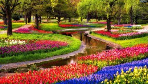 Spring Comes Early In The US thumbnail