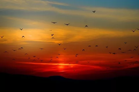 Sunsets In Winter - Simply Spectacular! thumbnail