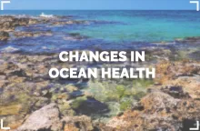 Ocean Health thumbnail