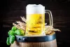 From Beer Waste To Vegan Leather!  thumbnail